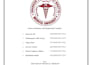 proofread and edit your essay, thesis and dissertation
